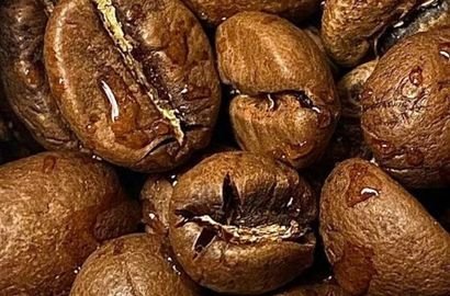 Cocoa Beans from Cameroon