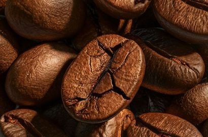 Robusta Coffee Beans