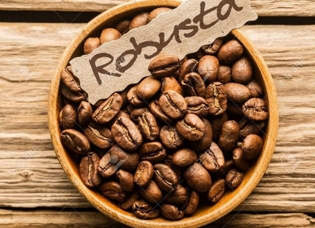 Robusta Coffee Beans